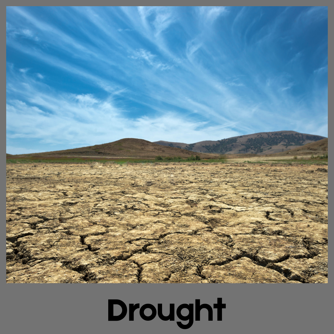 Drought
