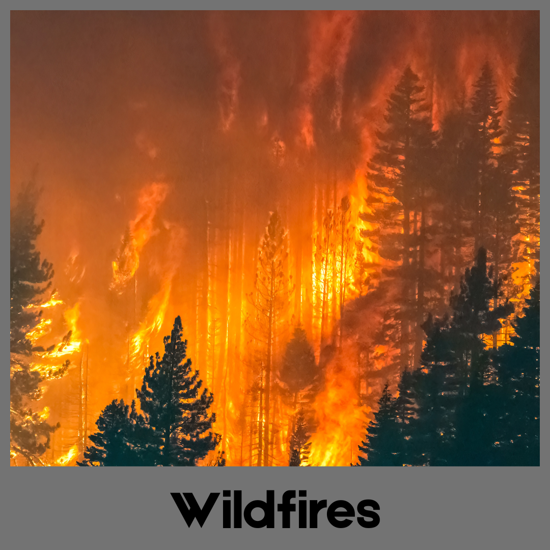 Wildfires