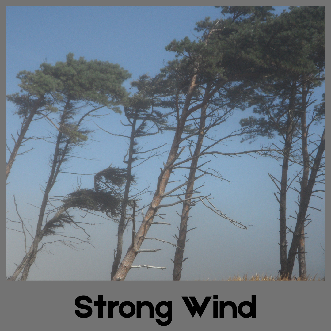 Strong Wind